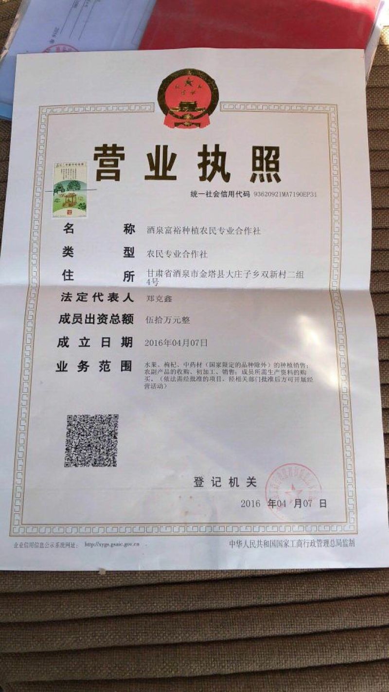 内蒙古阿拉善野生肉苁蓉非新疆大芸自然生长