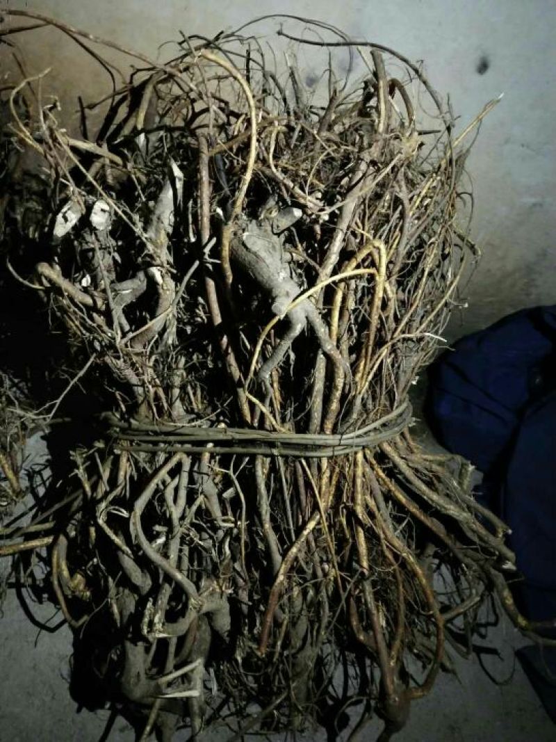 五指毛桃统块