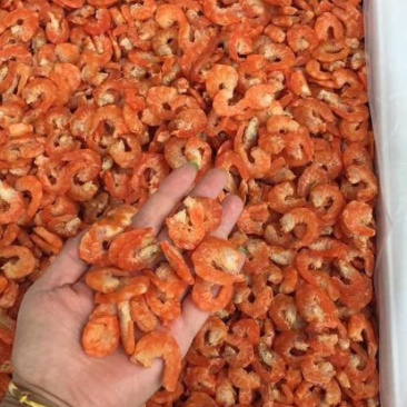 干贝食用冰冻5~10只/kg