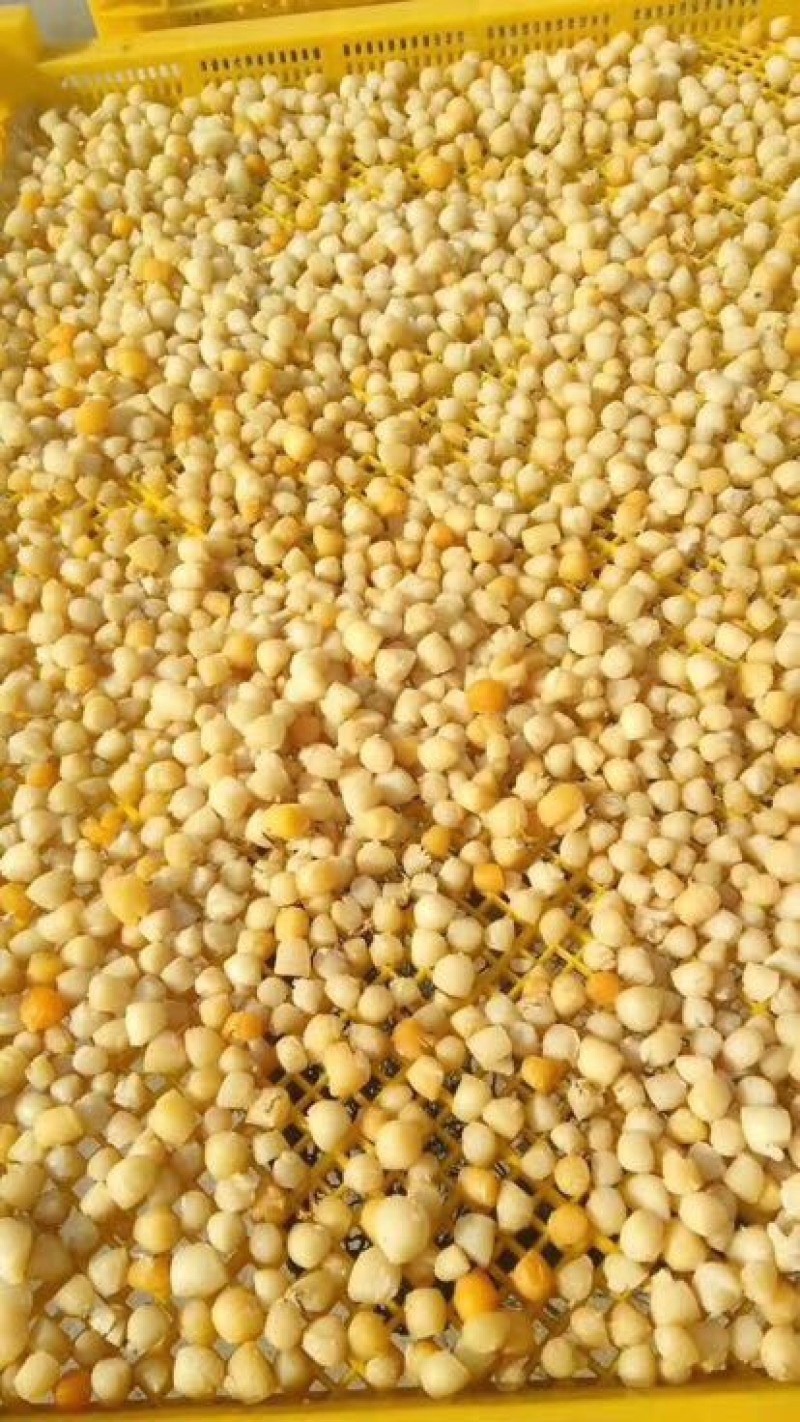 干贝食用冰冻5~10只/kg