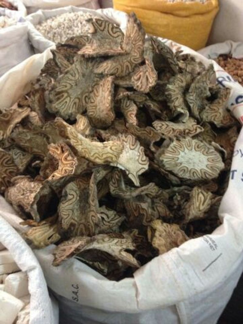 龙骨风