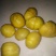 （现货）云南鲜板栗炒栗中批发中栗，规格齐全量大从优