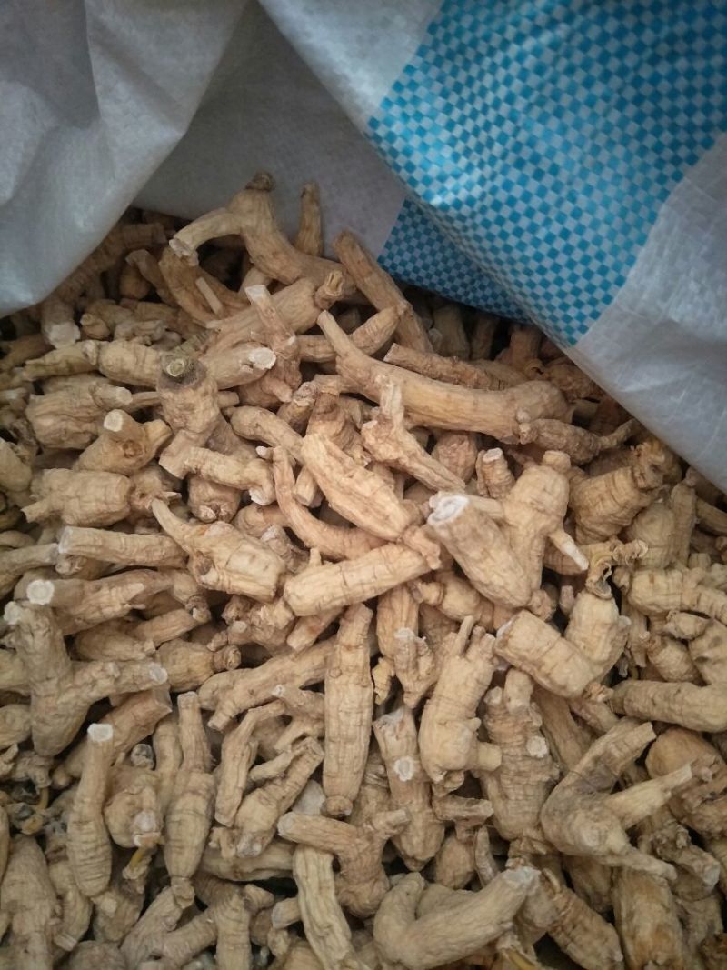 西洋参选货一首货源视频看货原产地批发