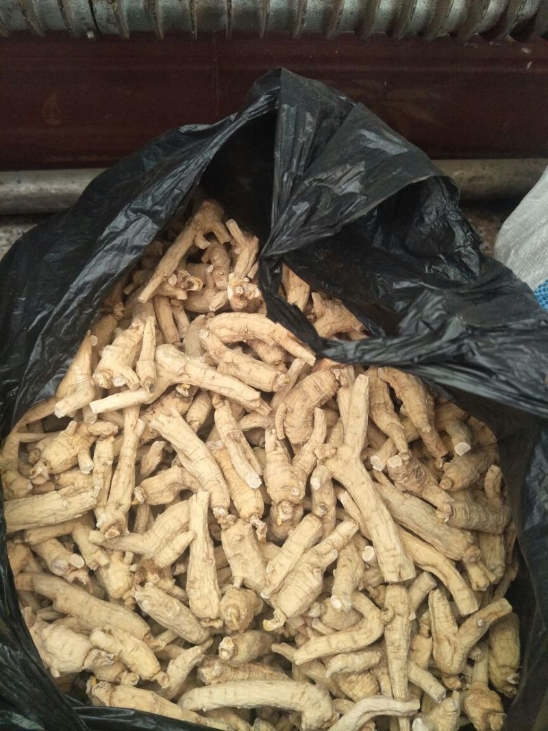 西洋参选货一首货源视频看货原产地批发