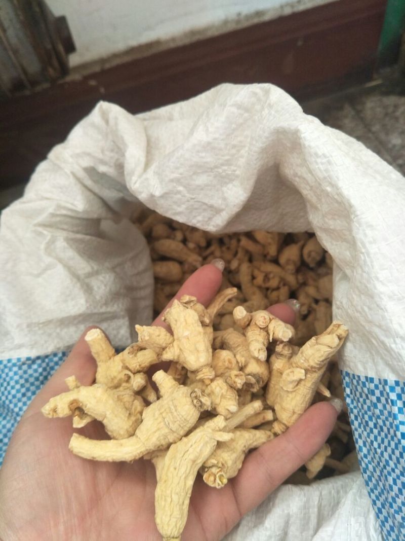 西洋参选货一首货源视频看货原产地批发