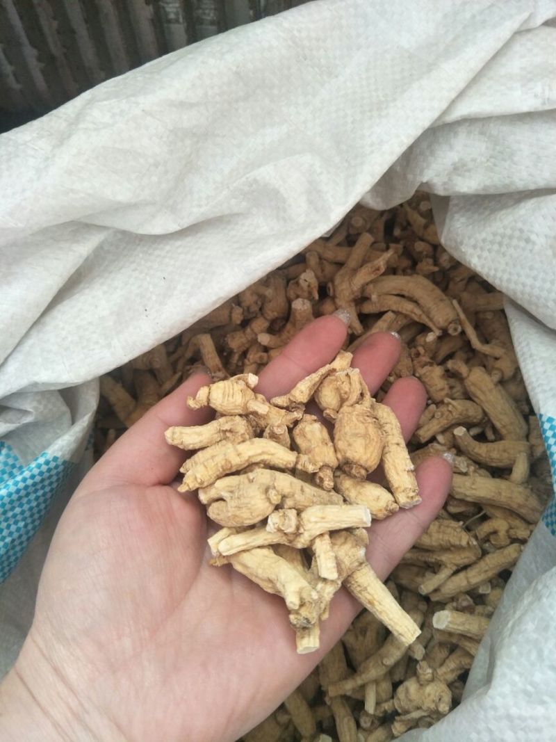 西洋参选货一首货源视频看货原产地批发