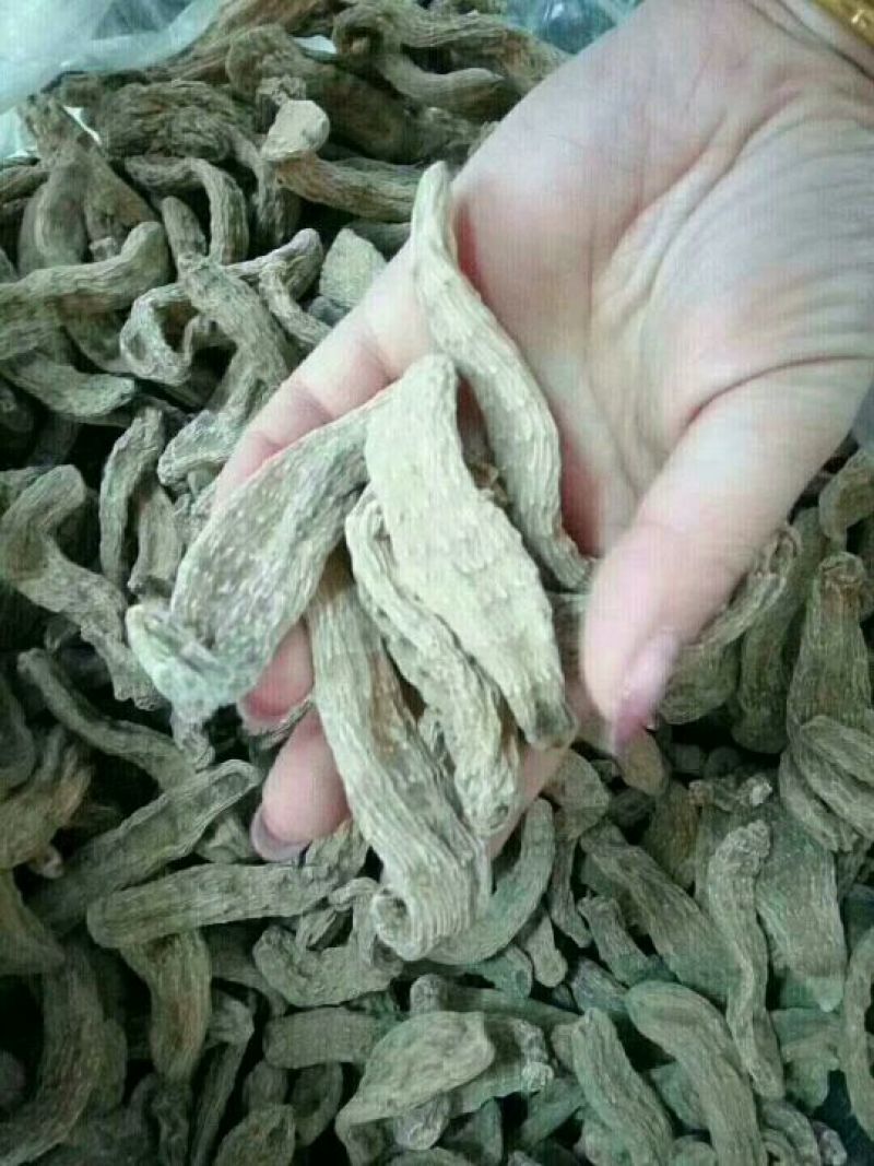 原产地天麻一级产地批发基地直销价格实惠