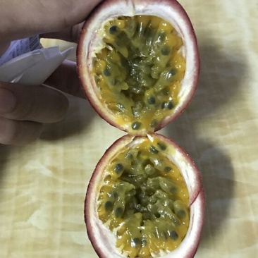 百香果苗台农，紫香一号