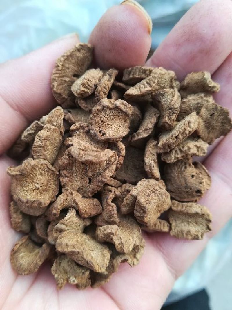 牛蒡茶徐州特产黄金牛蒡茶