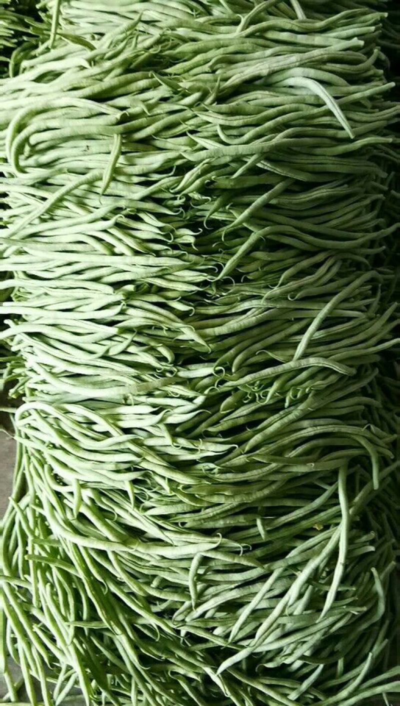 【实力商家】产地直发【质量上乘】诚信经营【价格合理】豆角