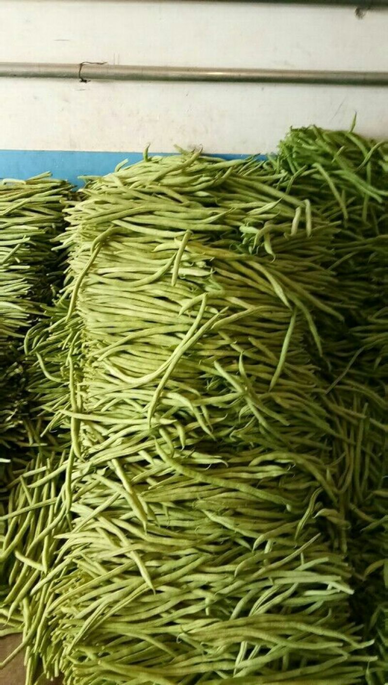 【实力商家】产地直发【诚信经营】质量上乘【价格合理】豆角