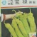 辣椒苗