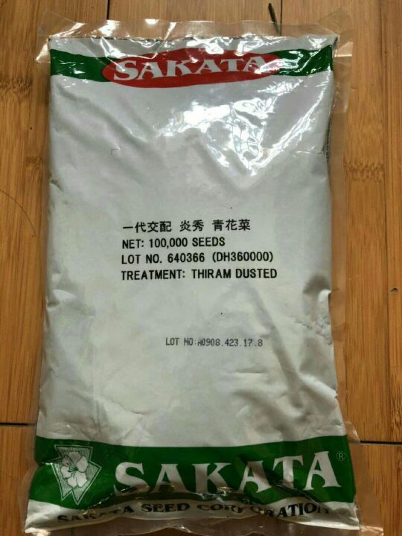 西兰花苗