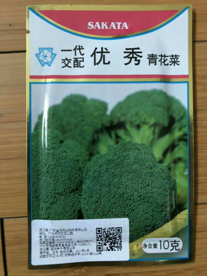 西兰花苗