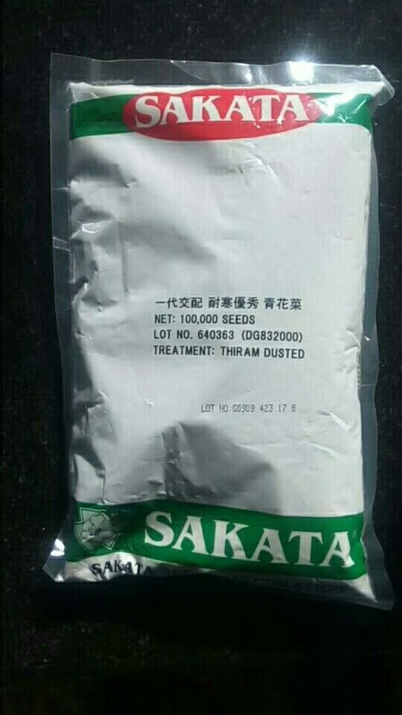 西兰花苗