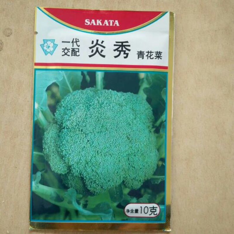 西兰花苗