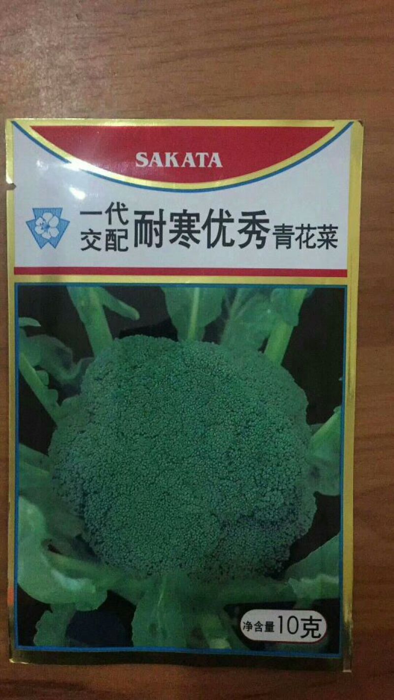 西兰花苗