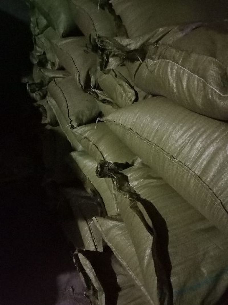 地肤子，东北产正品地肤子，量大从优，