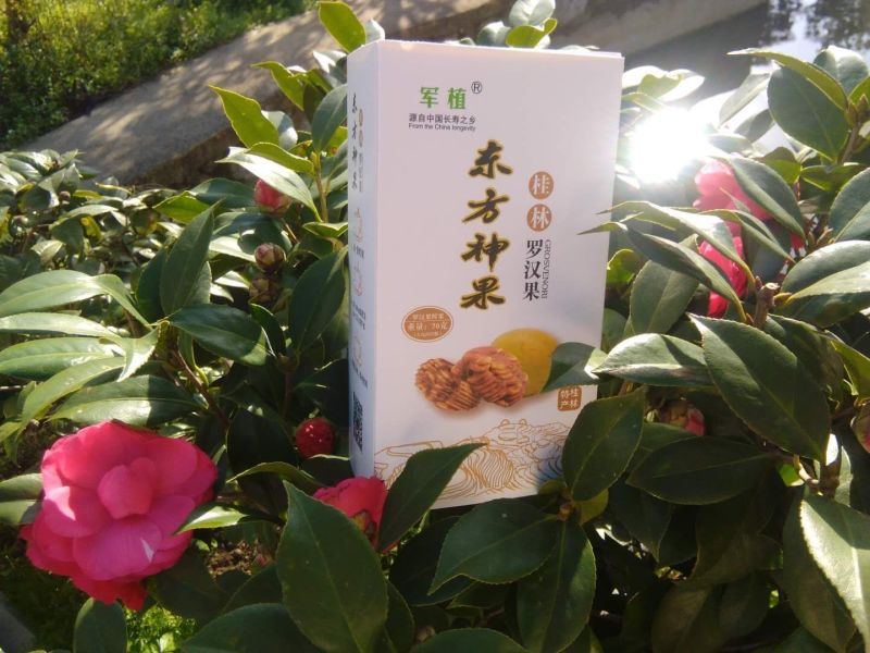 罗汉果果条
