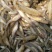 山坑鱼，小黄鱼食用