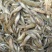 山坑鱼，小黄鱼食用