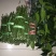 脐橙枝条伦晚，九月红，中华红，纽荷尔枝条