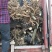 红橘苗50~80cm