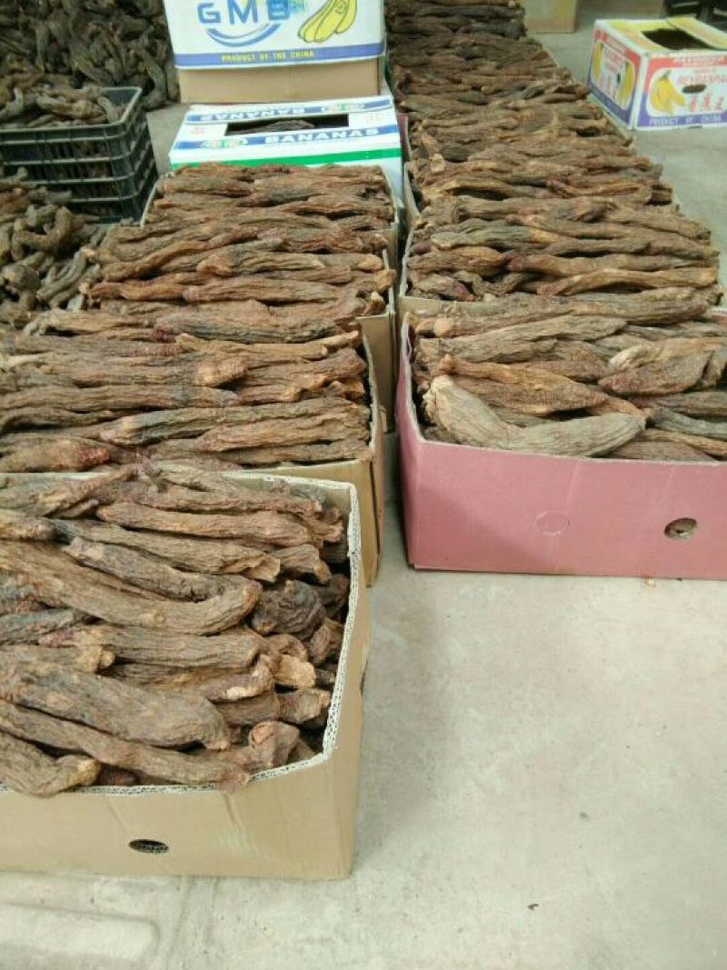 【有好货】内蒙金锁阳冬季锁阳500克质量保证