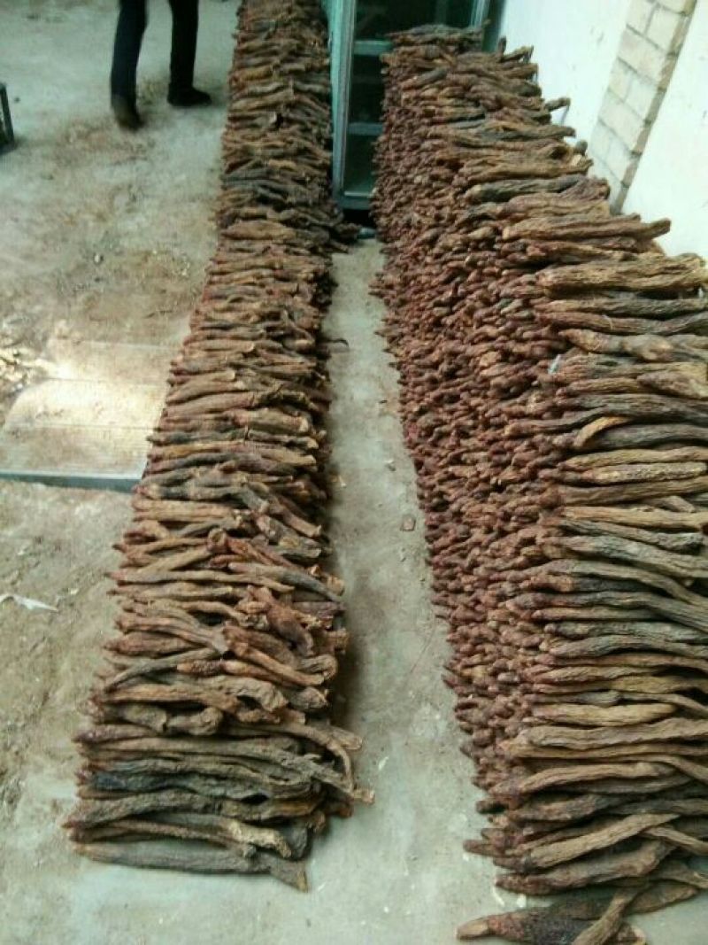 【有好货】内蒙金锁阳冬季锁阳500克质量保证