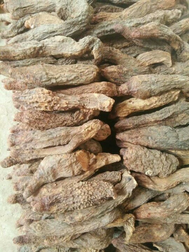 【有好货】内蒙金锁阳冬季锁阳500克质量保证