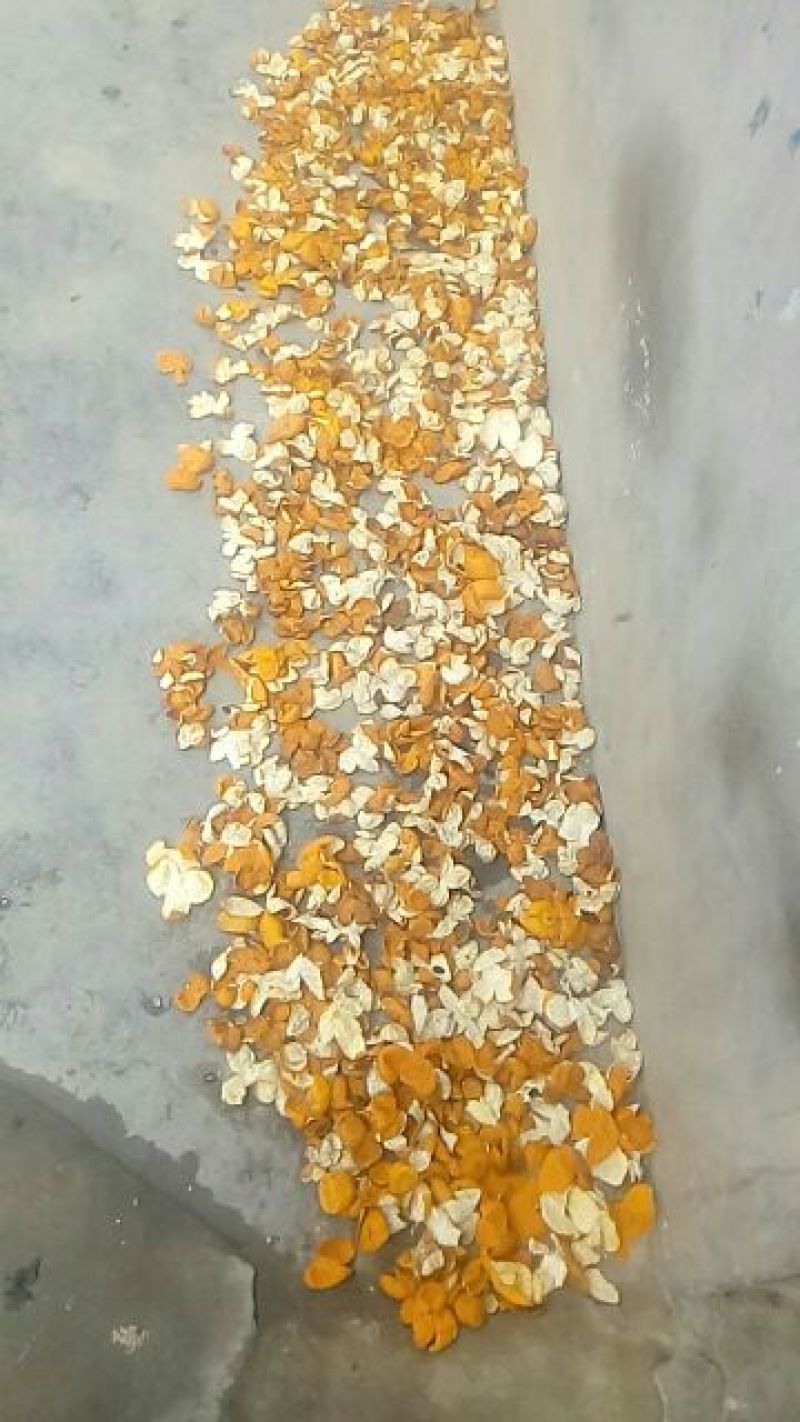 陈皮杂个