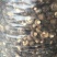 干香菇2~3cm