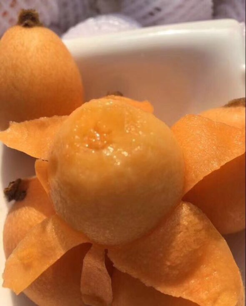早钟6号枇杷0.8两以上