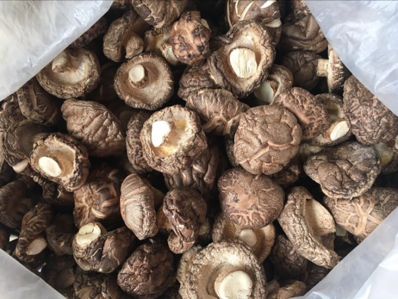 茶花菇光面干香菇以质论价冬菇肉厚自产自销