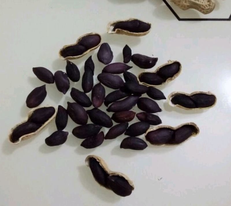 带壳黑花生黑花生，手拣果，