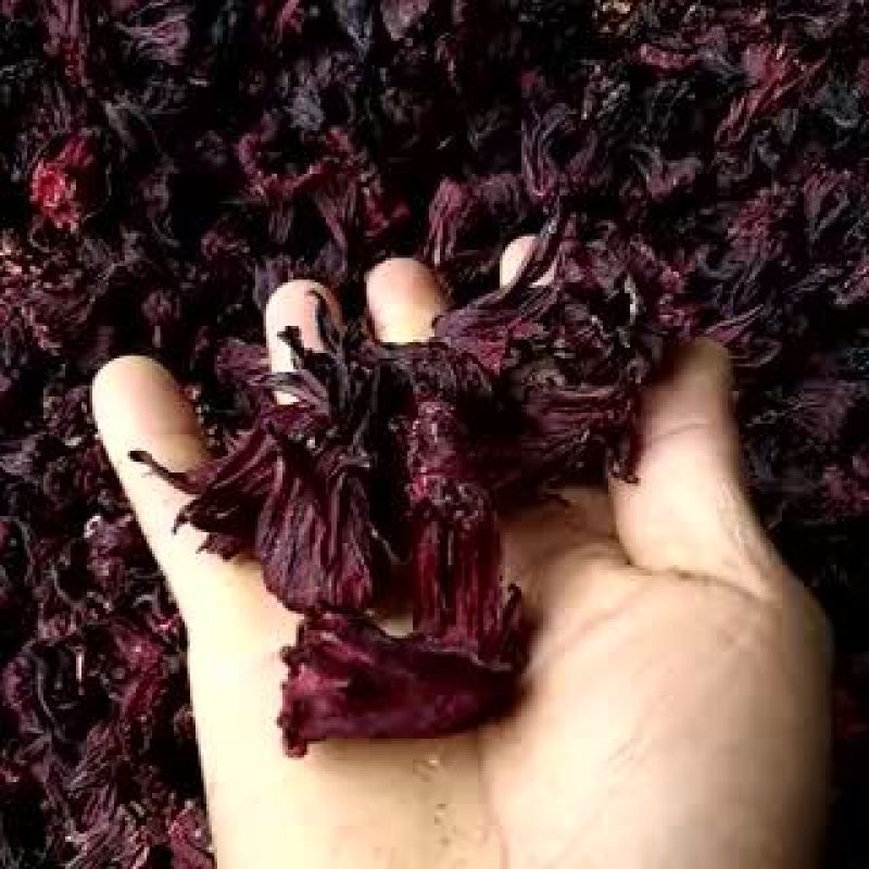 玫瑰茄