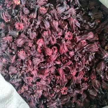 玫瑰茄