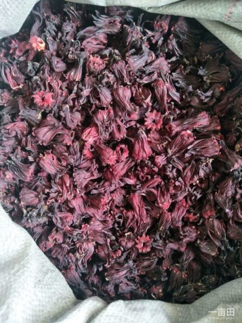 玫瑰茄