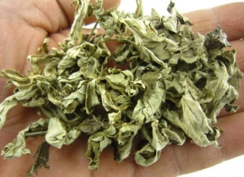 艾草