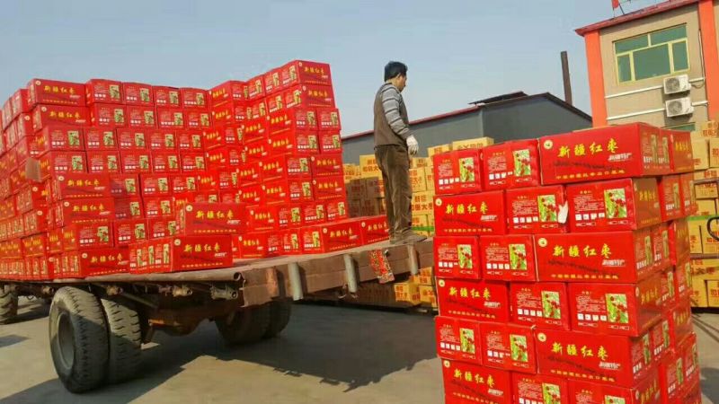 若羌红枣厂家直供皮薄肉厚核小口感软甜量大从优
