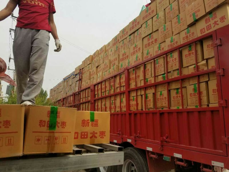 新疆红枣规格全价格低产地一手货量大从优