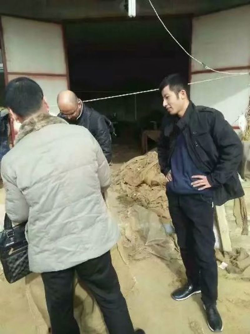 麻袋厂家防汛抗洪麻袋粮食麻袋铺路麻袋国标麻袋粮库麻袋辣椒
