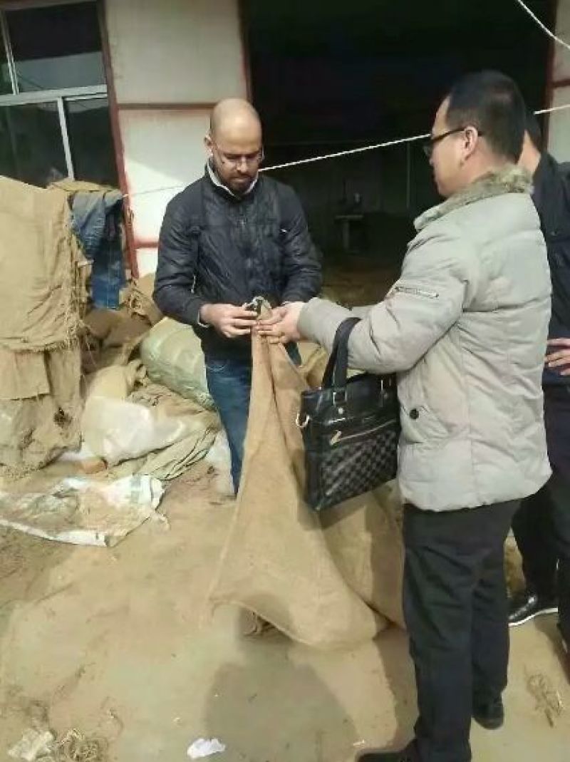 麻袋厂家防汛抗洪麻袋粮食麻袋铺路麻袋国标麻袋粮库麻袋辣椒