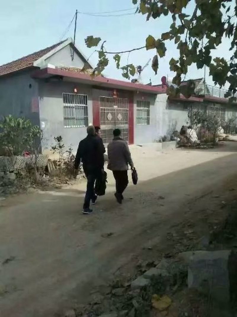 麻袋厂家防汛抗洪麻袋粮食麻袋铺路麻袋国标麻袋粮库麻袋辣椒