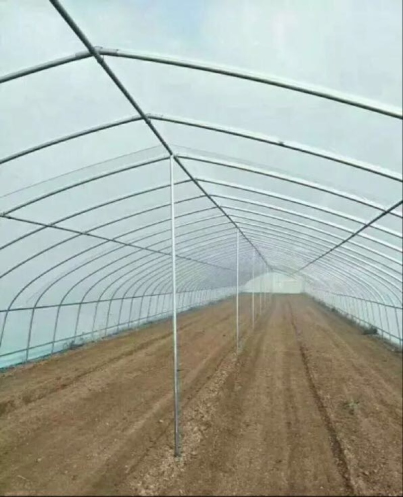 温室大棚镀锌管大棚
