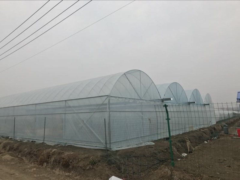 温室大棚镀锌管大棚