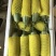 羊角蜜甜瓜精品1斤以上