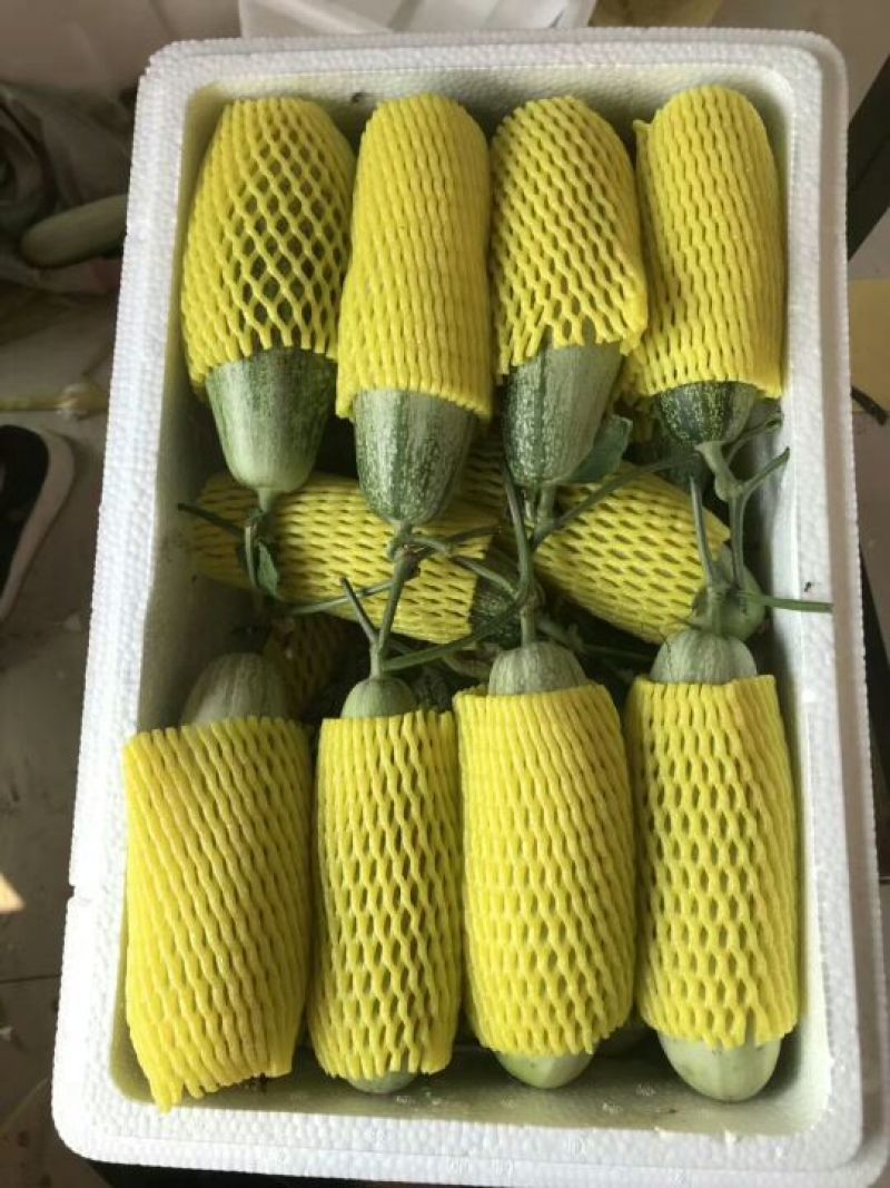 羊角蜜甜瓜精品1斤以上