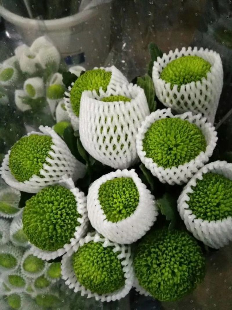 玫瑰鲜切花20朵