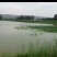 水产养殖用地转包10~30年101~1000亩